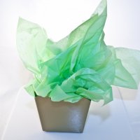 Silkespapper vårgrönt